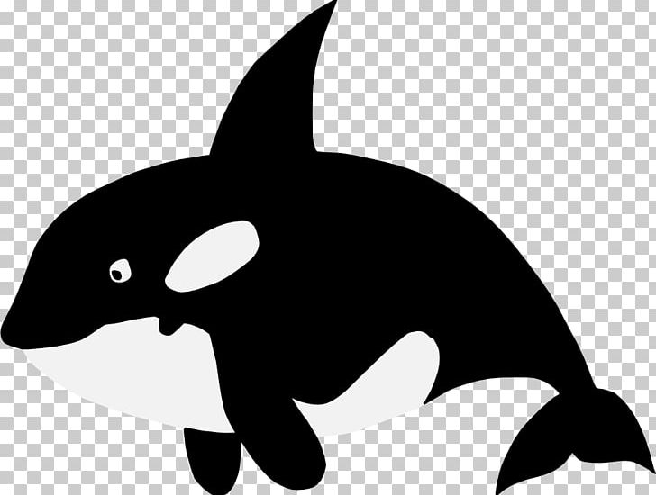 Baby Whale Killer Whale Cetaceans PNG, Clipart, Animals, Artwork, Autocad Dxf, Baby Whale, Beak Free PNG Download