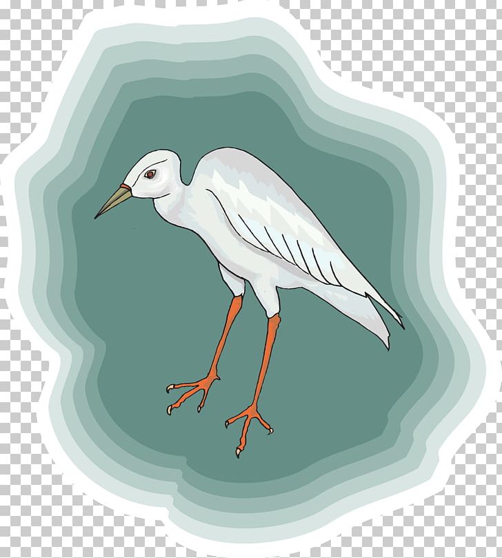 Bird Heron White Stork Crane PNG, Clipart, Animal, Animals, Beak, Bird, Charadriiformes Free PNG Download