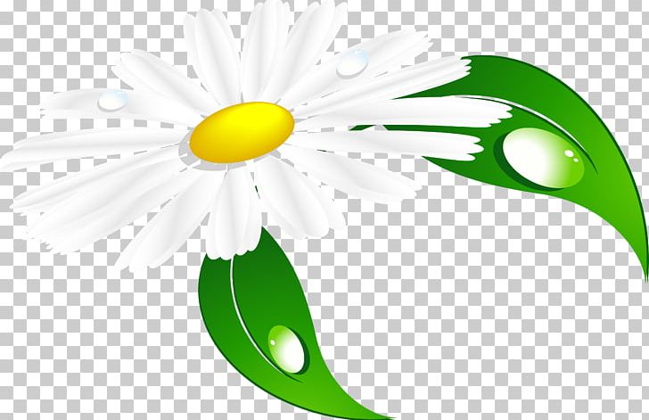 Chamomile 20.03.2017. PNG, Clipart, 20032017, Artwork, Bit, Chamomile, Circle Free PNG Download