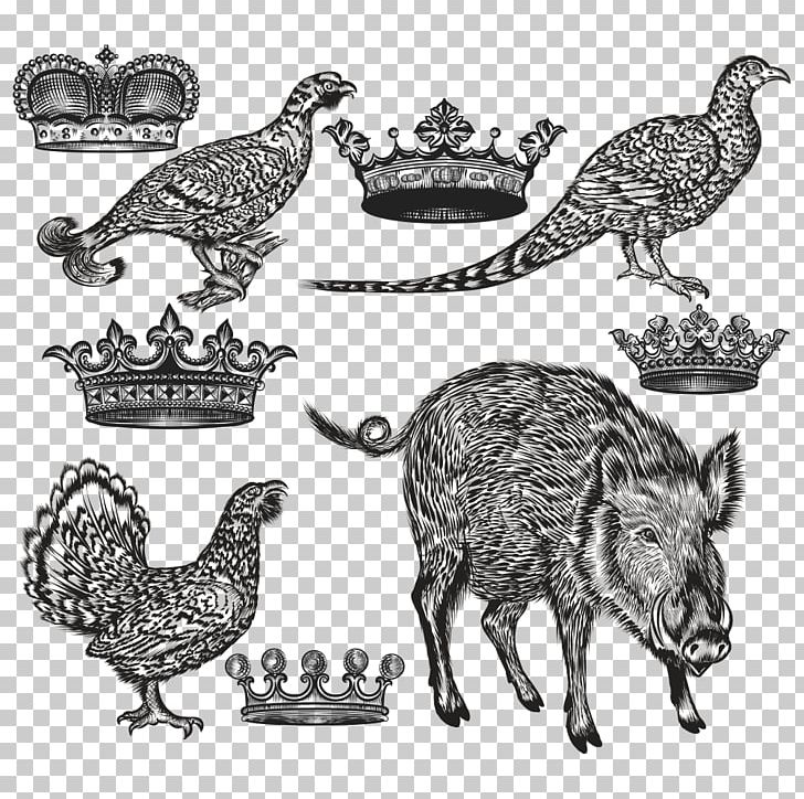 Drawing Illustration PNG, Clipart, Animals Vector, Animation, Bird, Can Stock Photo, Carnivoran Free PNG Download