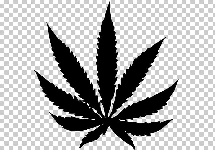 Medical Cannabis Cannabis Sativa Leaf Legality Of Cannabis PNG, Clipart, Black And White, Cannabis, Cannabis Industry, Cannabis In India, Cannabis Sativa Free PNG Download