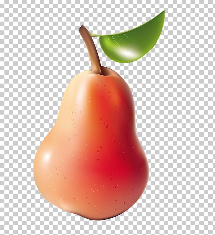 Pear Fruit Photography Food PNG, Clipart, Accessory Fruit, Apple, Bell Peppers And Chili Peppers, Food, Fruit Free PNG Download