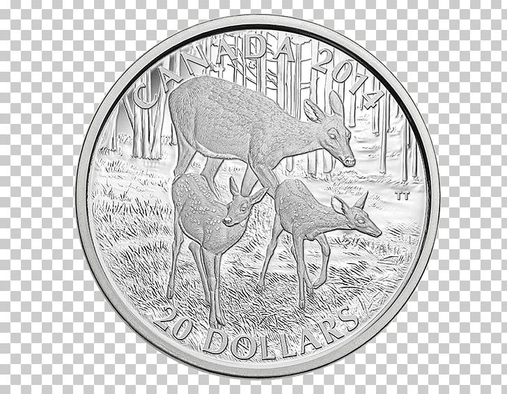 Silver Coin Canada White-tailed Deer Reindeer PNG, Clipart, Antler, Bitcoin, Black And White, Canada, Coin Free PNG Download