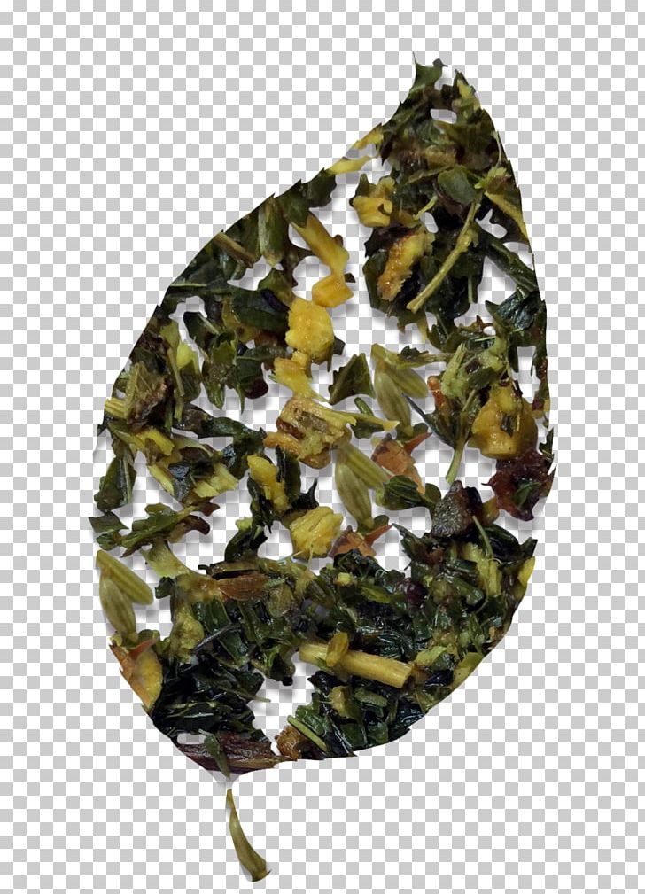 Tieguanyin Leaf Vegetable Camouflage PNG, Clipart, Camouflage, Fennel Flower, Leaf Vegetable, Oolong, Others Free PNG Download