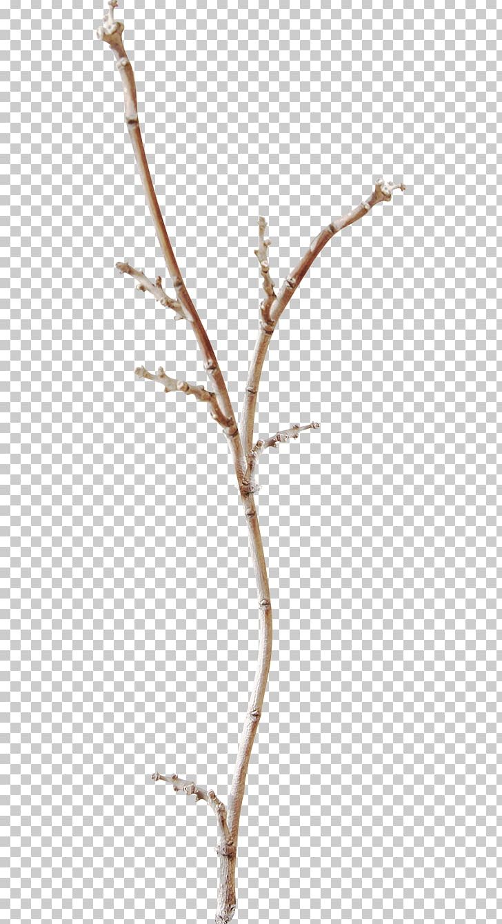 Twig Branch PNG, Clipart, Branch, Branches, Decorative Arts, Designer, Download Free PNG Download