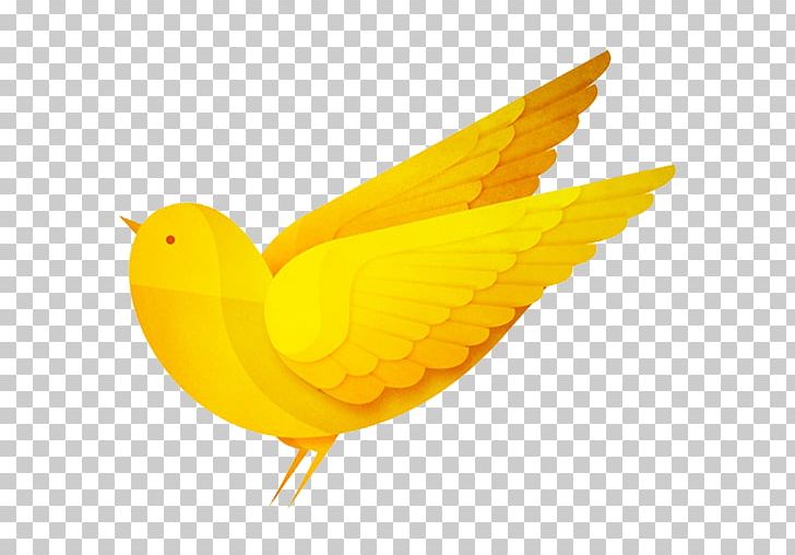 Bird Illustrator Mental Disorder PNG, Clipart, Amazon Parrot, Animals, App, Beak, Bird Free PNG Download