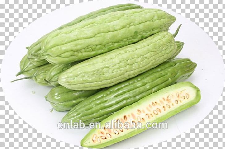 Bitter Melon Vegetable Food Bitterness Blood Sugar PNG, Clipart, Auglis, Bitter Gourd, Bitterness, Commodity, Cucumber Free PNG Download