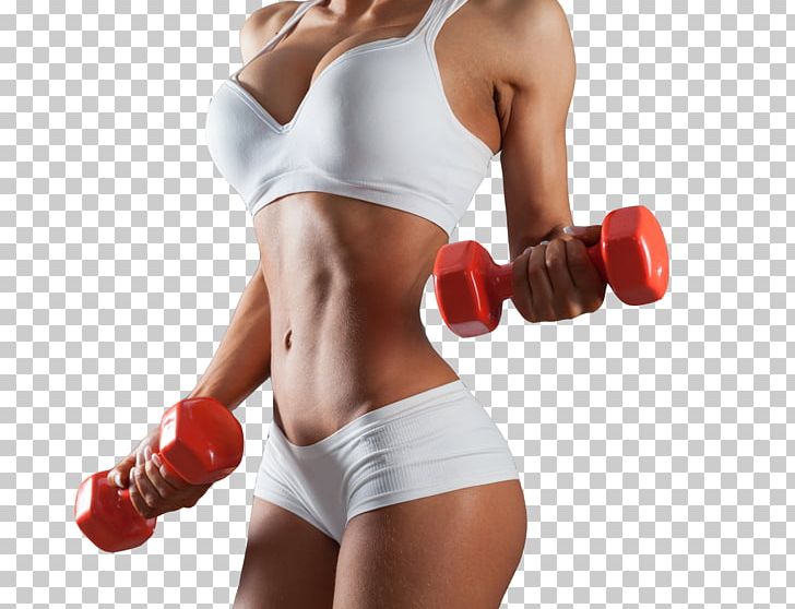 Bodybuilding Physical Fitness Physical Exercise Dumbbell Barbell PNG, Clipart, Abdomen, Active Undergarment, Arm, Boxing Glove, Fashion Girl Free PNG Download
