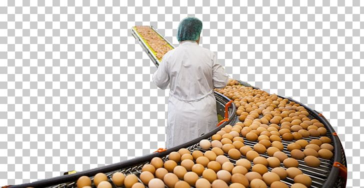 Aviculture Food Russia Vegetable Boire & Frères Inc PNG, Clipart, Aviculture, Commodity, Eastern Economic Forum, Food, Industry Free PNG Download