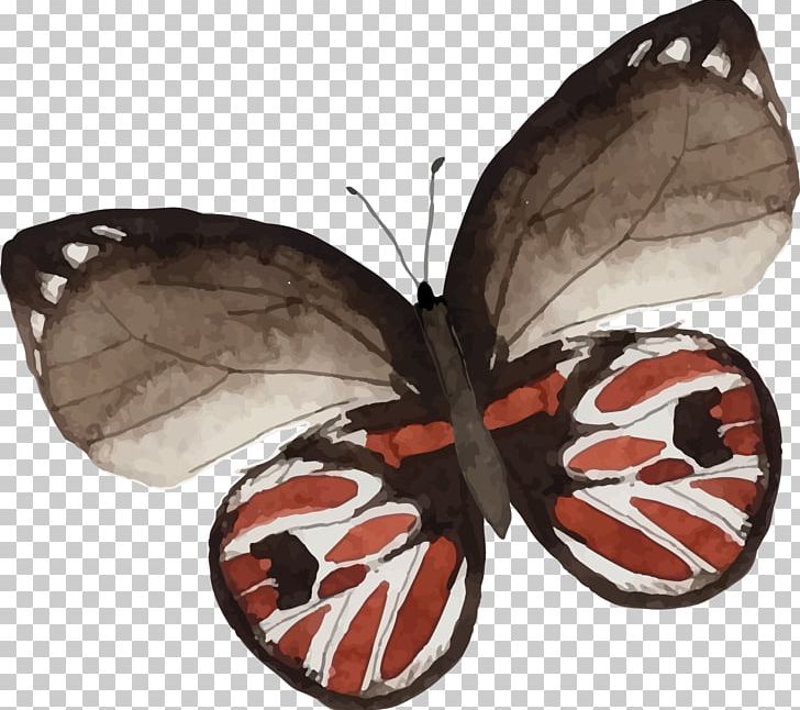 Butterfly Painting Drawing PNG, Clipart, Art, Arthropod, Brush Footed Butterfly, Butterflies, Cartoon Free PNG Download