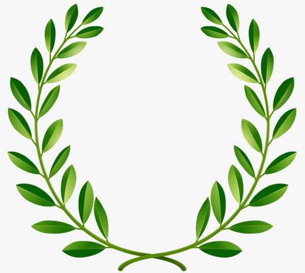 Greenpeace Olive Branch PNG, Clipart, Behalf, Branch Clipart, Circle, Grass, Green Free PNG Download