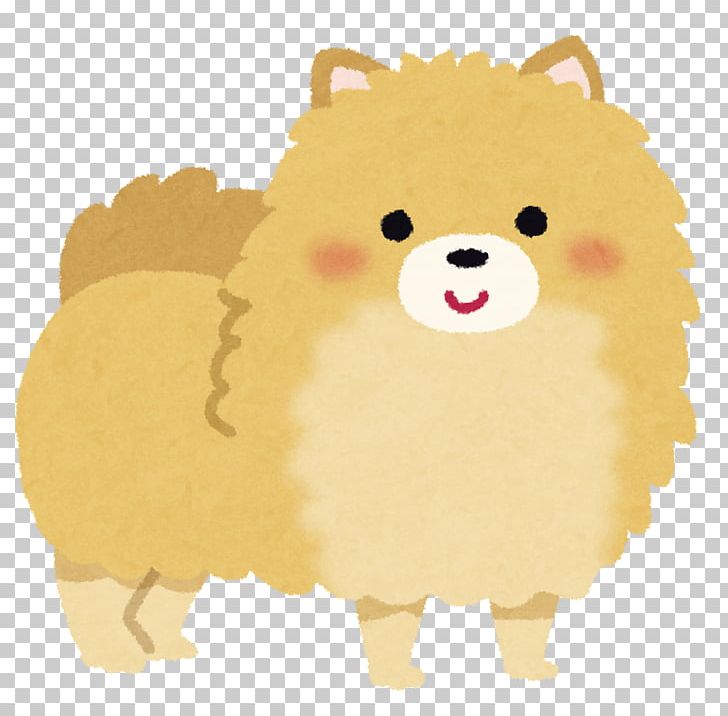 Pomeranian Poodle Chihuahua Kangal Dog Puppy PNG, Clipart, Animals, Bear, Carnivoran, Cat Like Mammal, Chihuahua Free PNG Download