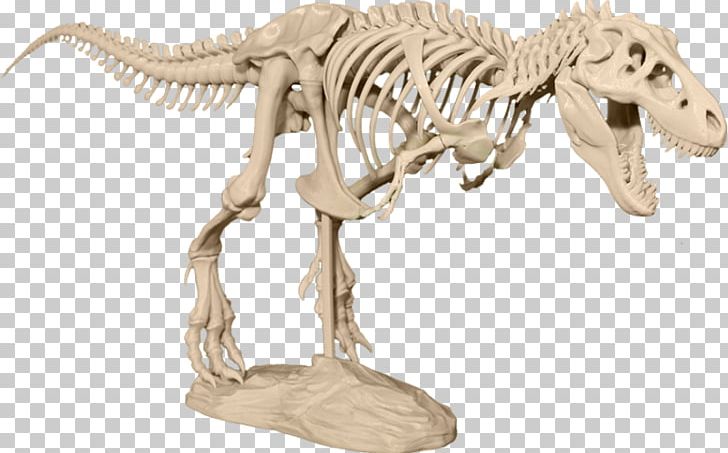 Tyrannosaurus 3D Printing Skeleton Skull Sue PNG, Clipart, 3d Printing, Animal Figure, Dinosaur, Engineering, Extinction Free PNG Download
