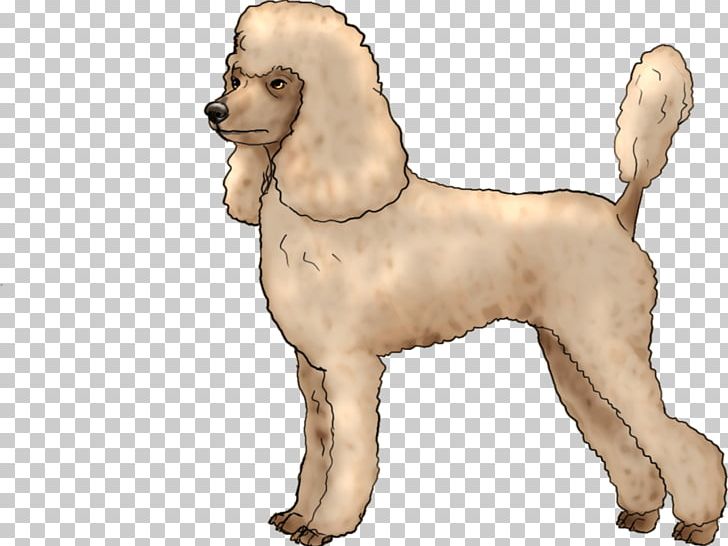 American Cocker Spaniel Puppy Dog Breed Companion Dog Non-sporting Group PNG, Clipart, Americ, Animals, Breed, Breed Group Dog, Carnivoran Free PNG Download