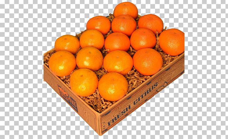 Clementine Tangerine Palm Beach Groves Mandarin Orange Tangelo PNG, Clipart, Citrus, Clementine, Food, Fruit, Fruit Nut Free PNG Download