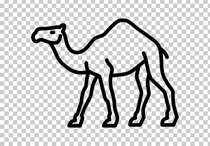 Dromedary Wadi Rum Computer Icons Encapsulated PostScript PNG, Clipart, Animal, Animal Figure, Arabian Camel, Black And White, Camel Free PNG Download