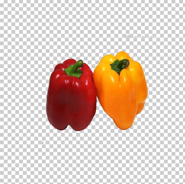 Habanero Bell Pepper Vegetable Chili Pepper Fruit PNG, Clipart, Bell Pepper, Chili Pepper, Food, Fruit, Fruits And Vegetables Free PNG Download