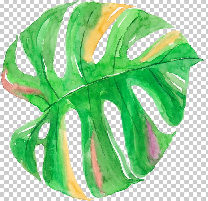 Leaf Watercolor Painting Canvas PNG, Clipart, Arecaceae, Art, Encapsulated Postscript, Green Leaf, Leaf Free PNG Download