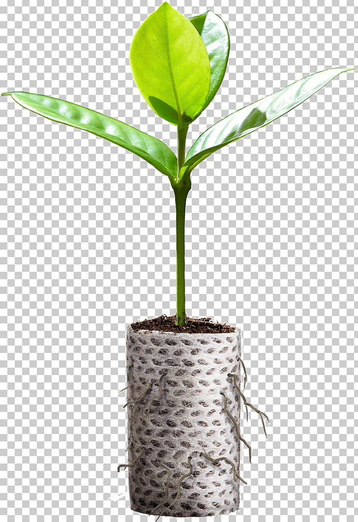 Paper Plastic Bag Sowing Biodegradation PNG, Clipart, Agriculture, Bag, Bed, Biodegradation, Container Free PNG Download
