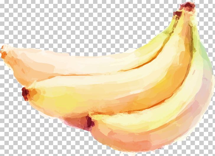 Watercolor Painting Auglis Banana Vegetable PNG, Clipart, Auglis, Banana, Banana Chips, Banana Family, Banana Leaf Free PNG Download