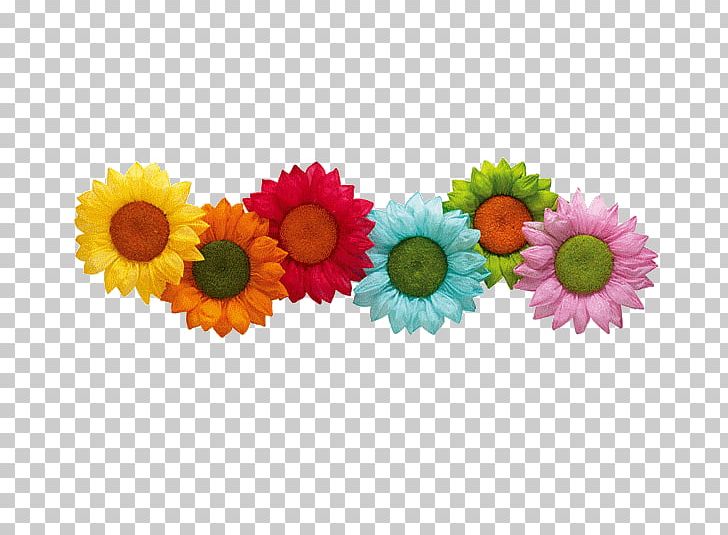 Animaatio Photography Desktop PNG, Clipart, Animaatio, Chrysanths, Cut Flowers, Daisy, Daisy Family Free PNG Download