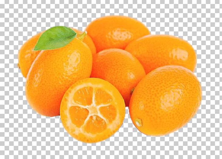 Kumquat Fruit Citrus Margarita Vegetable Lemon PNG, Clipart, Bitter Orange, Citric Acid, Citrus, Citrus Margarita, Clementine Free PNG Download