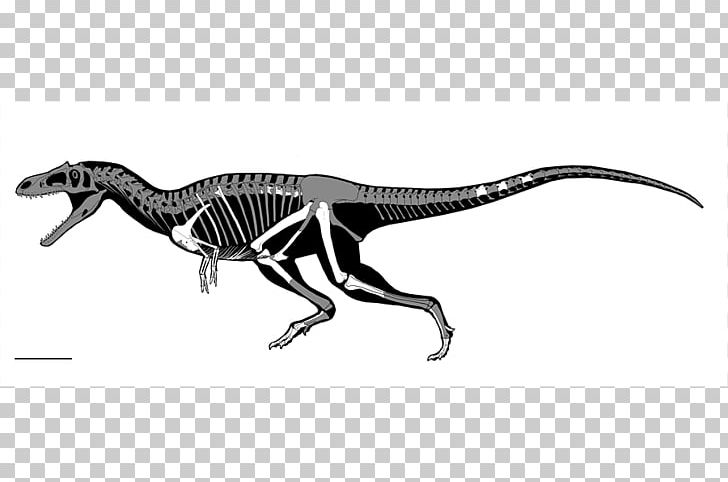 Tyrannosaurus Struthiomimus Dinosaur Size Gualicho Meat-Eating Dinosaurs PNG, Clipart, Anima, Arm, Black And White, Carnivore, Carnotaurus Free PNG Download