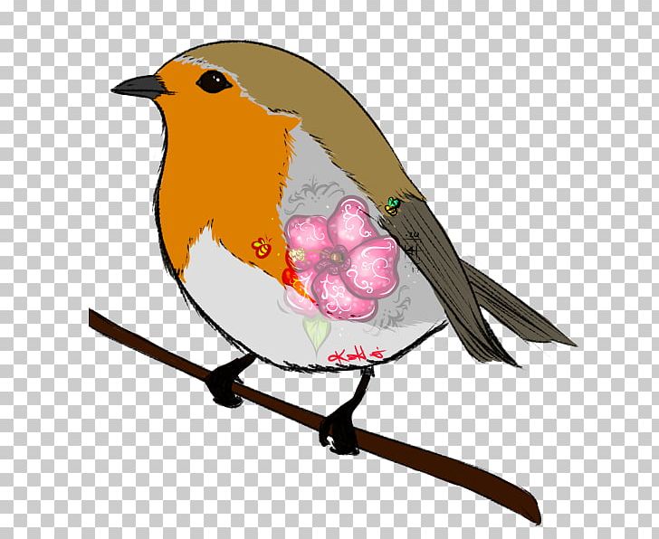 European Robin Beak PNG, Clipart, Beak, Bird, Branch, European Robin, Neha Free PNG Download