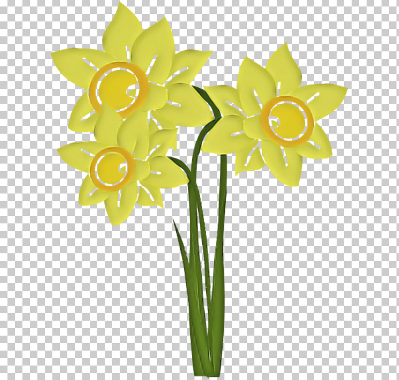 Flower Yellow Narcissus Plant Cut Flowers PNG, Clipart, Amaryllis Family, Cut Flowers, Flower, Flowerpot, Narcissus Free PNG Download