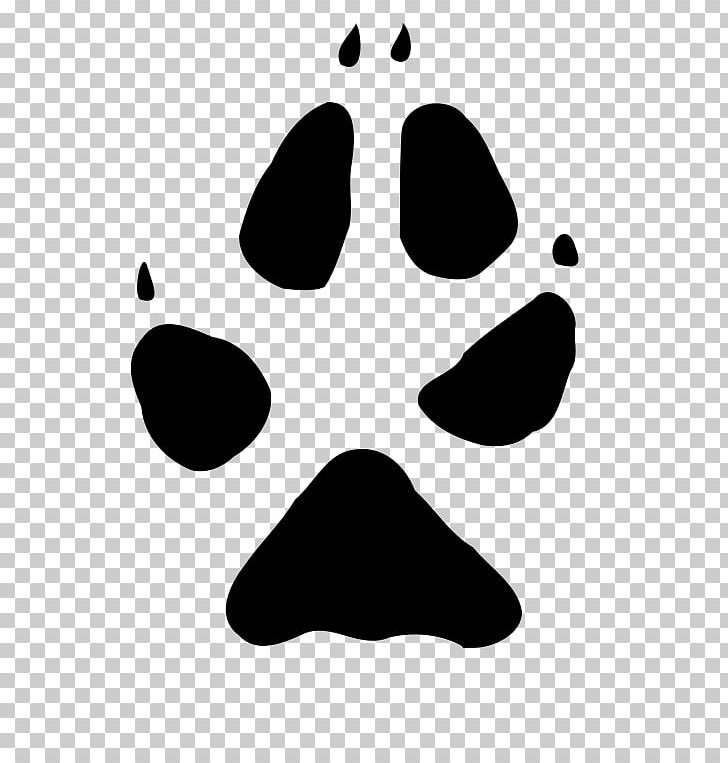 Arctic Fox Red Fox Paw Fennec Fox PNG, Clipart, Animal, Animals, Animal Track, Arctic Fox, Black Free PNG Download