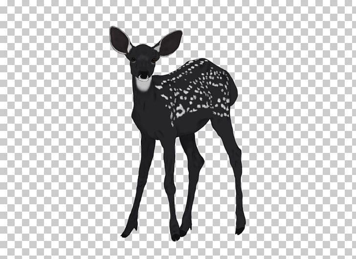 Reindeer Antelope Antler Terrestrial Animal Wildlife PNG, Clipart, Animal, Antelope, Antler, Bloodhound, Cartoon Free PNG Download