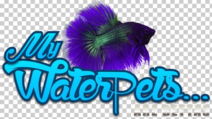 Siamese Fighting Fish Female Logo Graphic Design Pet PNG, Clipart, Animals, Aquarium, Aquarium Fish Feed, Betta, Female Free PNG Download
