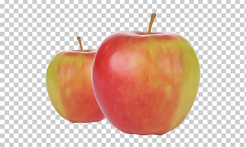 Mcintosh Red Elstar Golden Delicious Apple Jonagold PNG, Clipart, Accessory Fruit, Apple, Apples, Elstar, Fruit Free PNG Download