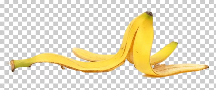 Banana Peel Food Health PNG, Clipart, Banana, Banana Family, Banana Peel, Compost, Cooking Free PNG Download