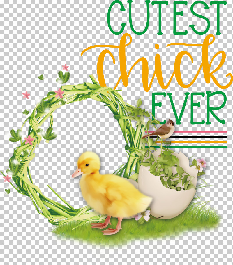 Happy Easter Cutest Chick Ever PNG, Clipart, Cartoon, Chicken, Drawing, Happy Easter, Painting Free PNG Download