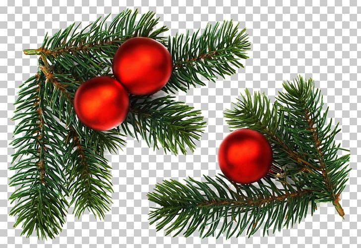Stock Photography Drawing Christmas Branch PNG, Clipart, Agence Photographique, Branch, Christmas, Christmas Decoration, Christmas Ornament Free PNG Download