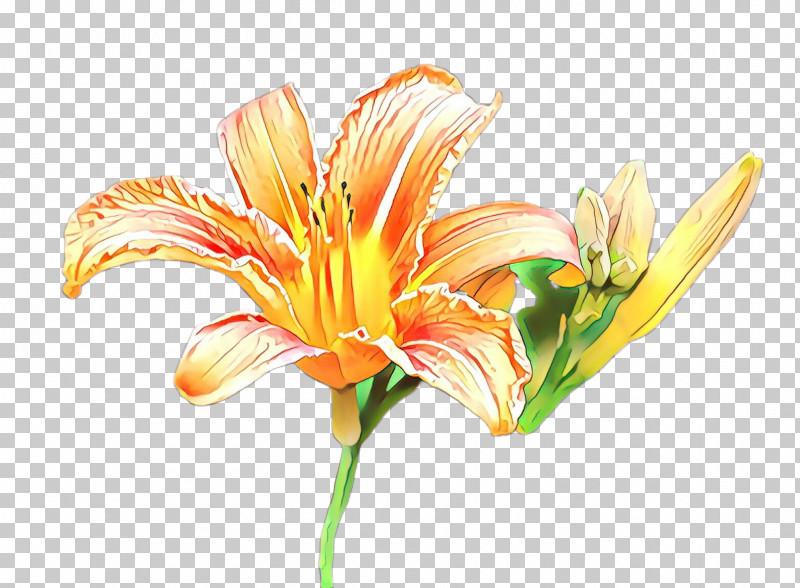 Artificial Flower PNG, Clipart, Amaryllis Belladonna, Amaryllis Family, Artificial Flower, Cut Flowers, Daylily Free PNG Download