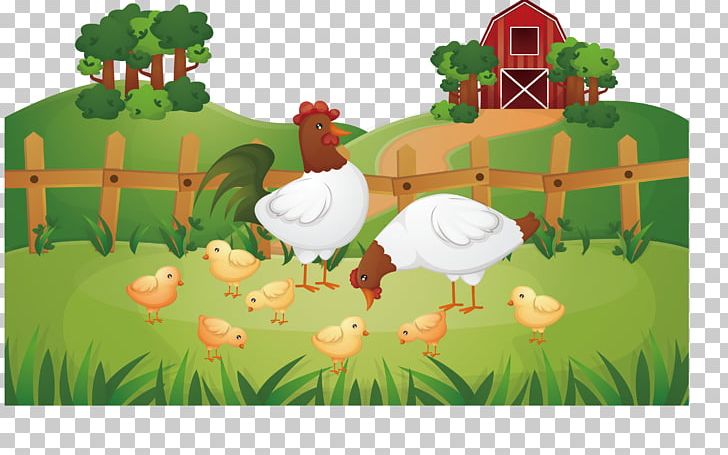 Animal Farm Chicken Rooster Poultry Farming PNG, Clipart, Agriculture,  Animals, Bird, Cartoon, Chicken Free PNG Download