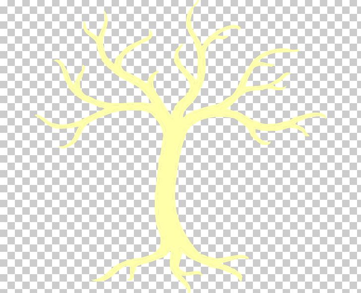 Branch Tree Woody Plant Twig Plant Stem PNG, Clipart, Branch, Drawing, Flower, Leaf, Line Free PNG Download