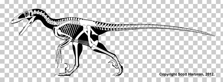 Deinonychus Velociraptor Cryolophosaurus Dinosaur Renaissance Parksosaurus PNG, Clipart, Allosaurus, Art, Black And White, Deinonychus, Dilophosaurus Free PNG Download