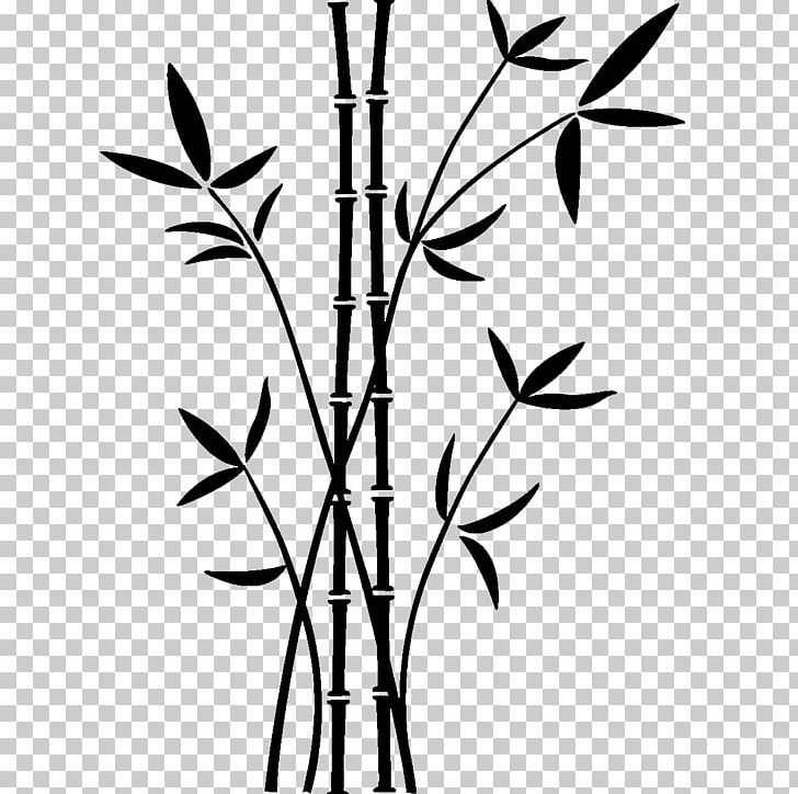 Drawing Bamboe Wall Decal Paper Photography PNG, Clipart, Angle, Art, Bamboe, Bamboo, Bamboo Musical Instruments Free PNG Download