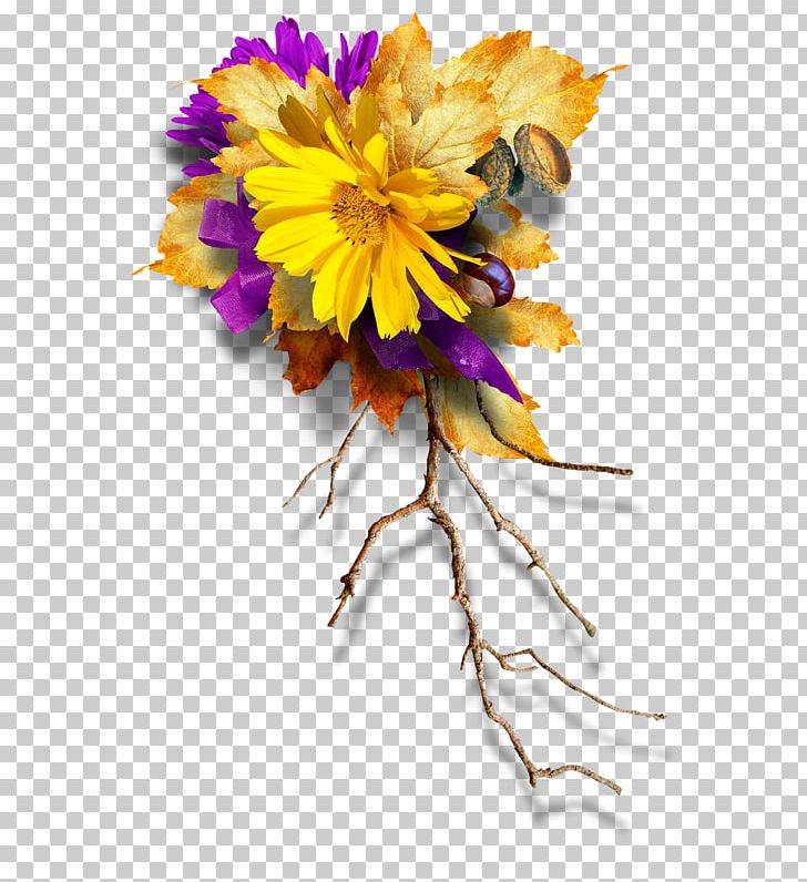 Flower Petal Floral Design PNG, Clipart, Branch, Chrysanthemum, Chrysanths, Color, Cut Flowers Free PNG Download
