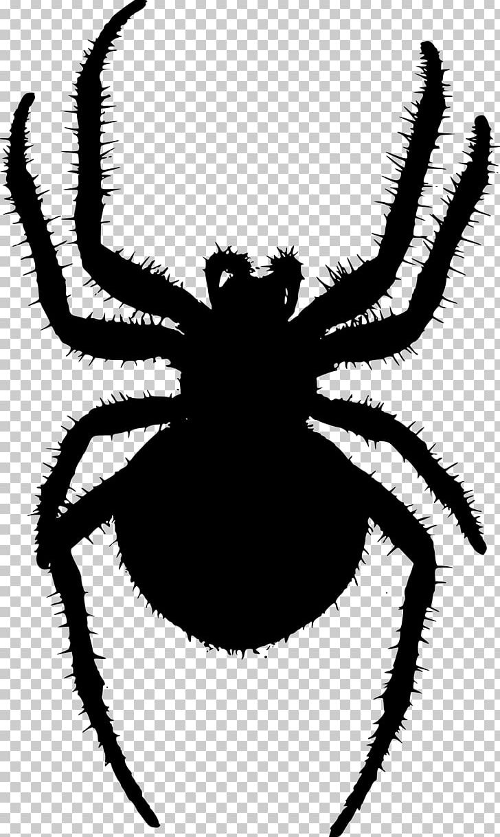 Orb-weaver Spider PNG, Clipart, Arachnid, Araneus, Arthropod, Black And White, Decapoda Free PNG Download
