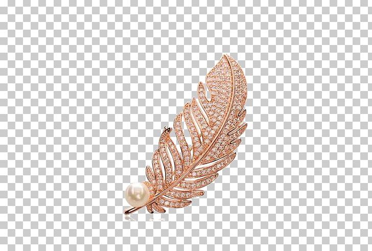 Feather PNG, Clipart, Adobe Illustrator, Animals, Brooch, Download, Encapsulated Postscript Free PNG Download