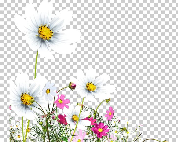 Flower Euclidean PNG, Clipart, Adobe Illustrator, Annual Plant, Chrysanthemum Chrysanthemum, Chrysanthemums, Computer Wallpaper Free PNG Download