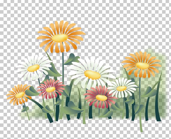 Chrysanthemum Indicum Illustration PNG, Clipart, Chrysanthemum Chrysanthemum, Chrysanthemums, Chrysanthemum Vector, Dahlia, Daisy Family Free PNG Download