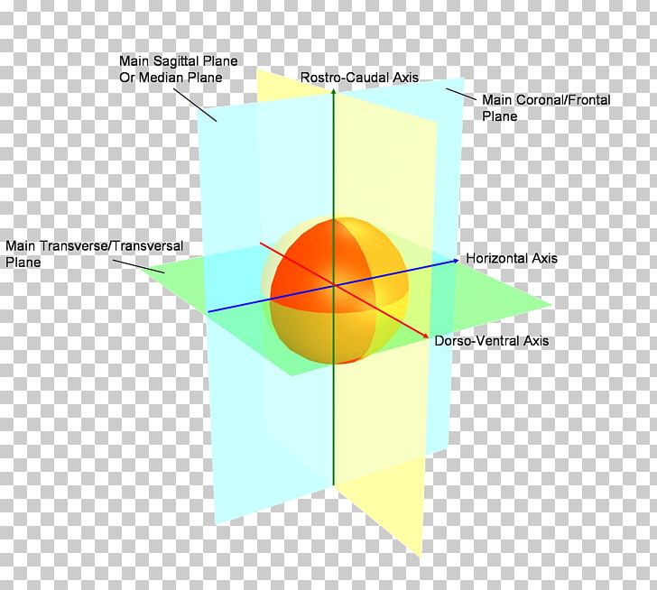Diagram Line Angle PNG, Clipart, Angle, Area, Art, Balle, Circle Free PNG Download