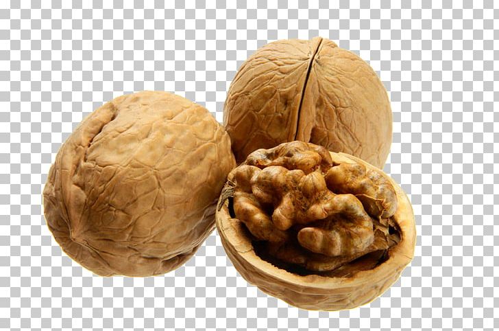 English Walnut Pecan PNG, Clipart, Almond Nut, Cashew Nuts, Download, Dried Fruit, Dry Free PNG Download