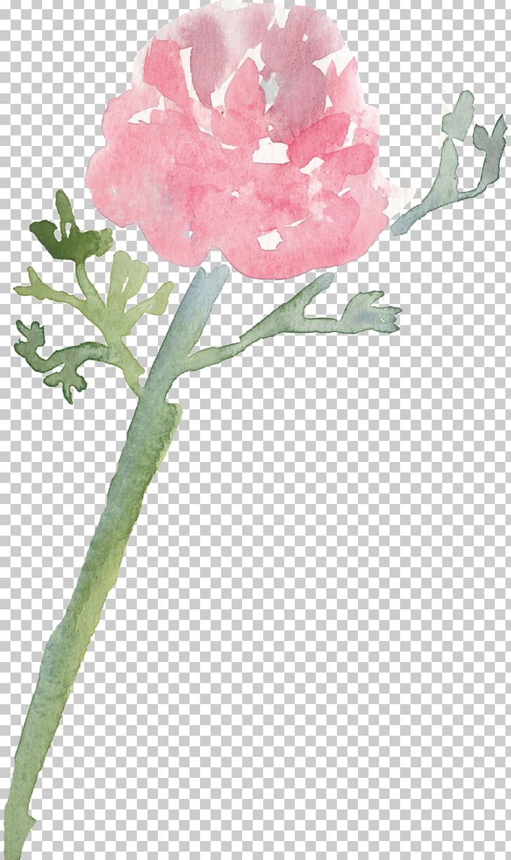 Gift Flower Mother's Day Cabbage Rose Floral Design PNG, Clipart,  Free PNG Download