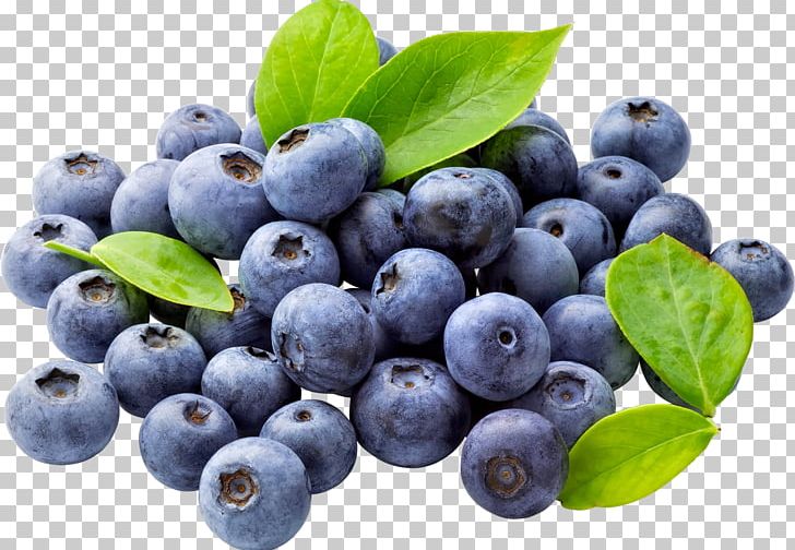 Juice Muffin Blueberry PNG, Clipart, Aristotelia Chilensis, Berry, Bilberry, Blueberry, Blueberry Tea Free PNG Download